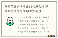 王者荣耀觉悟挑战14关怎么过 王者荣耀觉悟挑战14关如何过