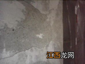 书受潮发霉怎么恢复原样-书受潮发霉粘一起怎么处理