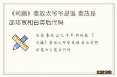 《司藤》秦放太爷爷是谁 秦放是邵琰宽和白英后代吗