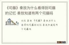 《司藤》秦放为什么看得到司藤的记忆 秦放知道有两个司藤吗