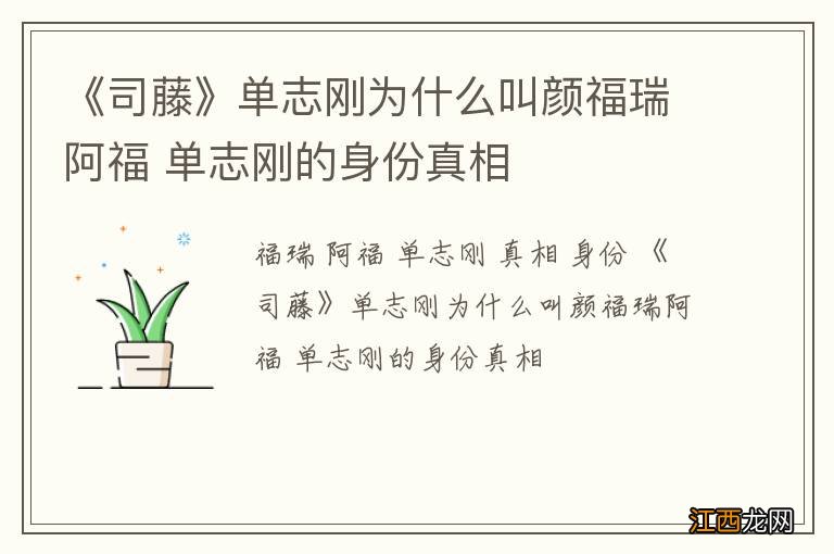 《司藤》单志刚为什么叫颜福瑞阿福 单志刚的身份真相