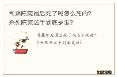 司藤陈宛最后死了吗怎么死的？杀死陈宛凶手到底是谁？