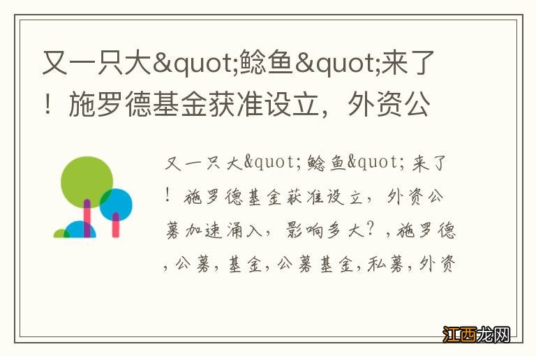 又一只大&quot;鲶鱼&quot;来了！施罗德基金获准设立，外资公募加速涌入，影响多大？