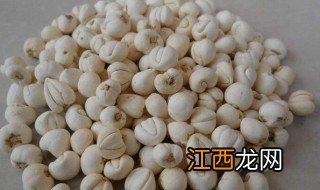 浙贝的功效和作用 浙贝的功效和作用有哪些