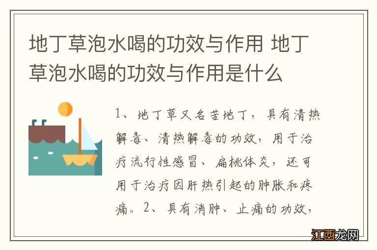 地丁草泡水喝的功效与作用 地丁草泡水喝的功效与作用是什么