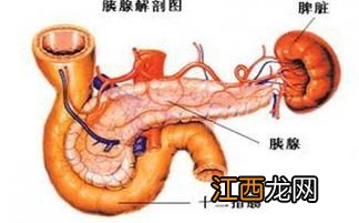 胰腺炎开始放屁是好转吗-胰腺炎出院后经常放屁是什么情况