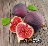 无花果没熟就蔫了是咋回事-无花果没熟就蔫了怎么办