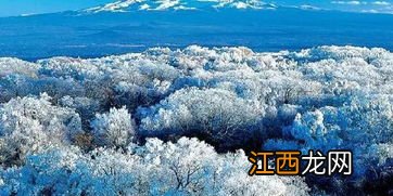 2022元旦去长白山有雪吗-元旦适不适合去长白山