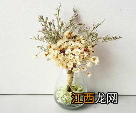 干花插花用水吗-如何保存干花