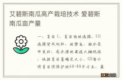 艾碧斯南瓜高产栽培技术 爱碧斯南瓜亩产量