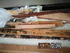 踢脚线位置发霉是怎么回事-木质踢脚线发霉怎么处理