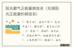 充满阳光正能量的微信名 阳光霸气正能量微信名