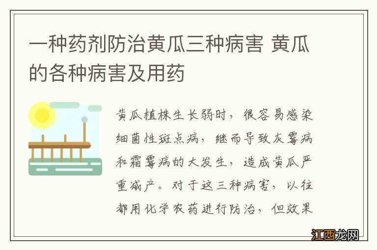 一种药剂防治黄瓜三种病害 黄瓜的各种病害及用药