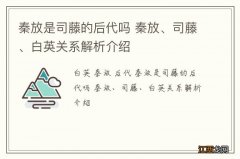 秦放是司藤的后代吗 秦放、司藤、白英关系解析介绍