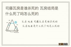 司藤瓦房是谁杀死的 瓦房结局是什么死了吗怎么死的