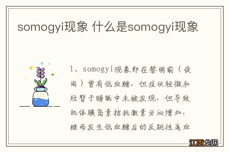 somogyi现象 什么是somogyi现象