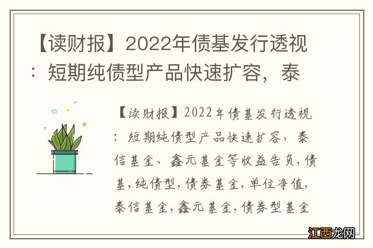 【读财报】2022年债基发行透视：短期纯债型产品快速扩容，泰信基金、鑫元基金等收益告负