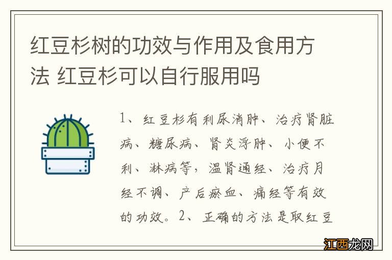 红豆杉树的功效与作用及食用方法 红豆杉可以自行服用吗