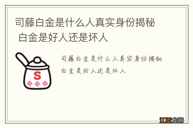 司藤白金是什么人真实身份揭秘 白金是好人还是坏人