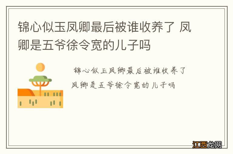 锦心似玉凤卿最后被谁收养了 凤卿是五爷徐令宽的儿子吗