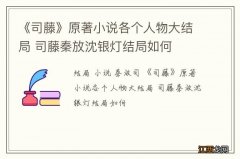 《司藤》原著小说各个人物大结局 司藤秦放沈银灯结局如何