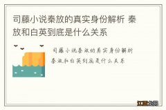 司藤小说秦放的真实身份解析 秦放和白英到底是什么关系