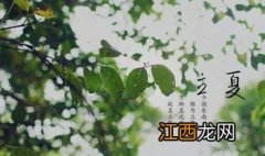 2022年立夏是农历几日-2022年的立夏是周几