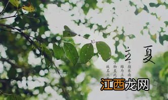 2022年立夏后下雨多吗-立夏过后降雨量会不会增多