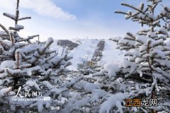 2022冬天降雪多来年是旱还是涝-冬天降雪多夏季降雨大吗