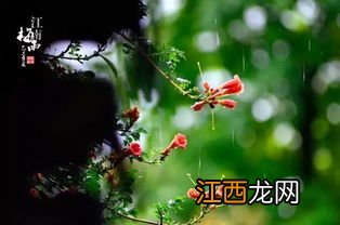 今年宁波什么时候出梅2022-宁波每年的梅雨季节是一样的吗