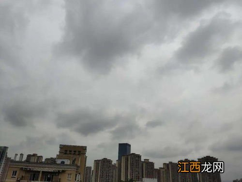 2022年广州二月份雨水多吗-广州什么时候雨水最多