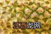 榴莲核能生吃吗 榴莲核能煮着吃吗