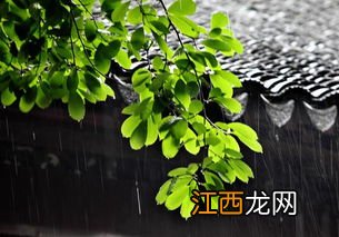 宁波2022年什么时间入梅-2022年宁波梅雨季节是什么时候