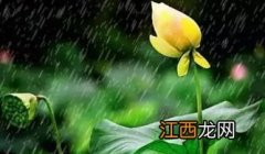 宁波2022年什么时间入梅-2022年宁波梅雨季节是什么时候