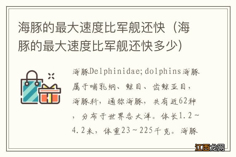 海豚的最大速度比军舰还快多少 海豚的最大速度比军舰还快