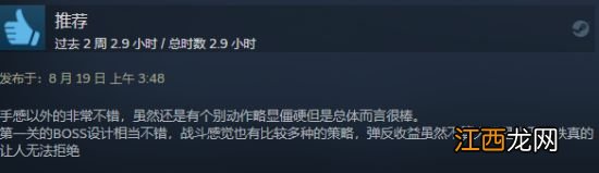 国产类魂《记忆边境》Steam多半好评 究极魂系缝合怪