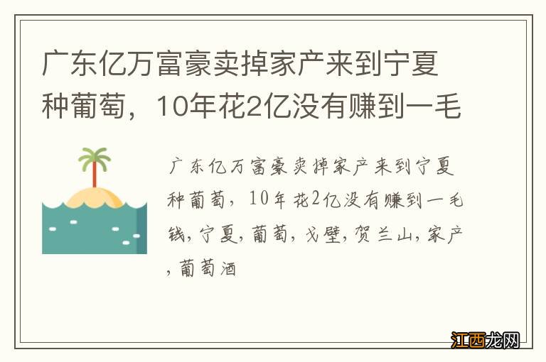 广东亿万富豪卖掉家产来到宁夏种葡萄，10年花2亿没有赚到一毛钱