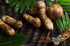 冻松茸发酸能吃吗-松茸解冻的正确方法