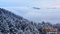 2021神农架什么时候能看到雪-2021年神农架什么时候有下雪