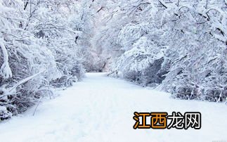 大雪属于几九2022-大雪是一九吗2022