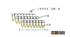 核酸检测下午几点出结果-核酸检测下午什么时候出结果