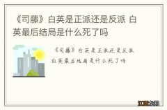 《司藤》白英是正派还是反派 白英最后结局是什么死了吗