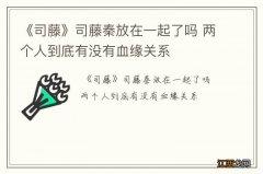 《司藤》司藤秦放在一起了吗 两个人到底有没有血缘关系