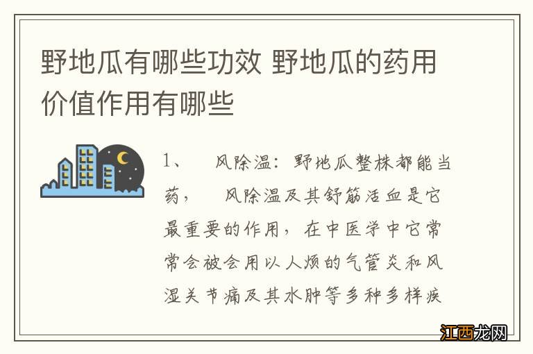 野地瓜有哪些功效 野地瓜的药用价值作用有哪些