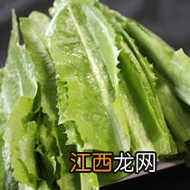 油麦能生吃吗能减肥不-100克油麦菜的热量是多少大卡