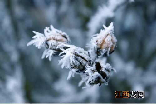 小雪节气下雨正常吗2021-小雪是晴天好还是下雨好