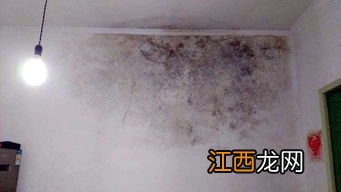 墙体起泡是不是有漏水-墙壁起泡有什么办法解决