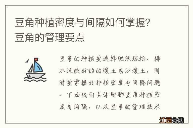 豆角种植密度与间隔如何掌握？豆角的管理要点