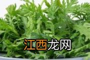 柚子适宜搭配哪些食物 柚子的禁忌