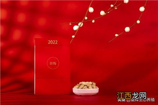 今年元旦放几天假2022-2022元旦假期放哪三天